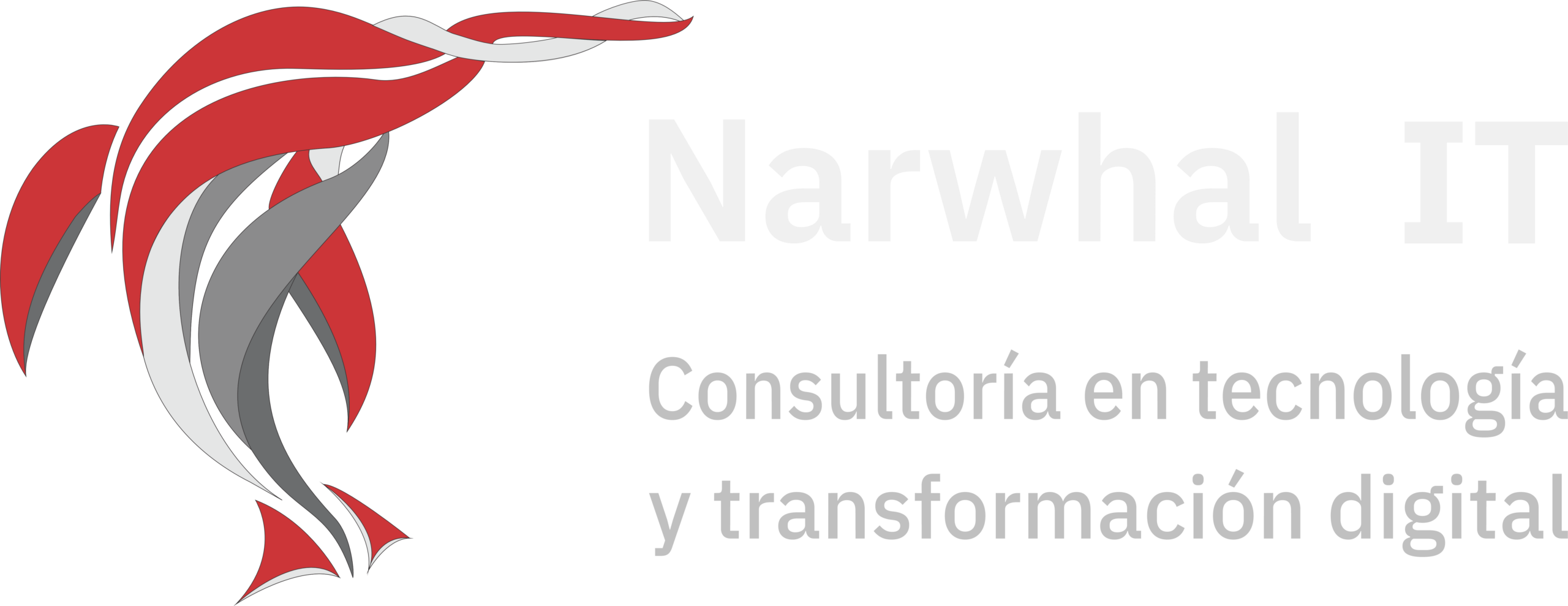 Narwhal IT | Soporte TI, Microsoft 365, Automatización y Seguridad Empresarial